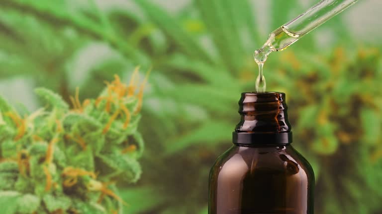 cbd oil